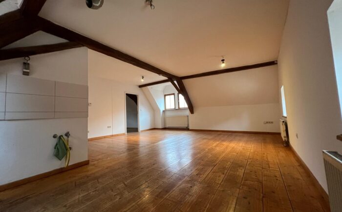 Wohnraum mit Küchenbereich