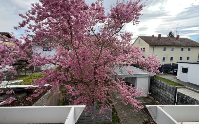 Aussicht vom Balkon